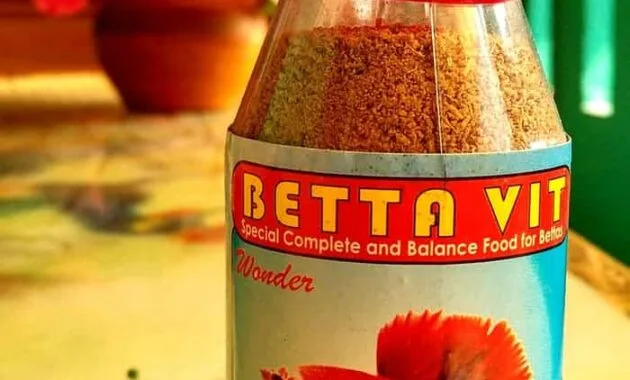 Makanan Ikan Cupang Agar Warnanya Bagus