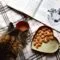 Makanan Terbaik Untuk Anak Kucing